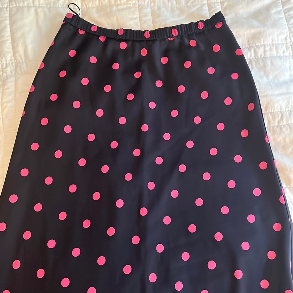 Zara Blue and Pink Polka Dot Slip Skirt